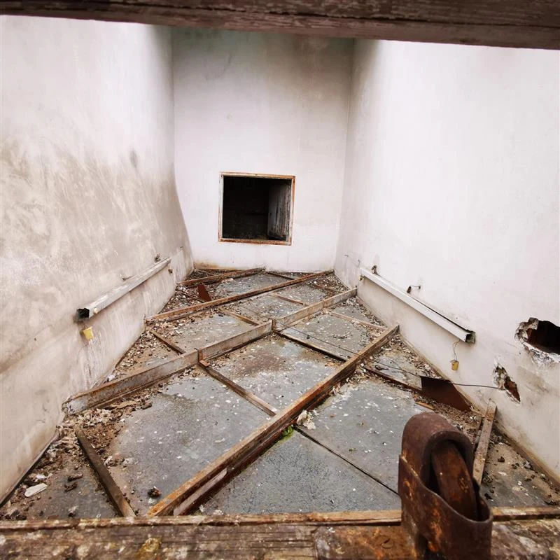 Intervention de cordistes MS Access pour rénover l’ancien chez GRISEL à Bordeaux (bâtiment) – 2